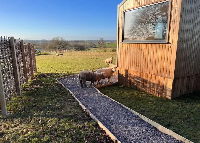 Beautiful Cabins In Shaftesbury Dorset Countryside