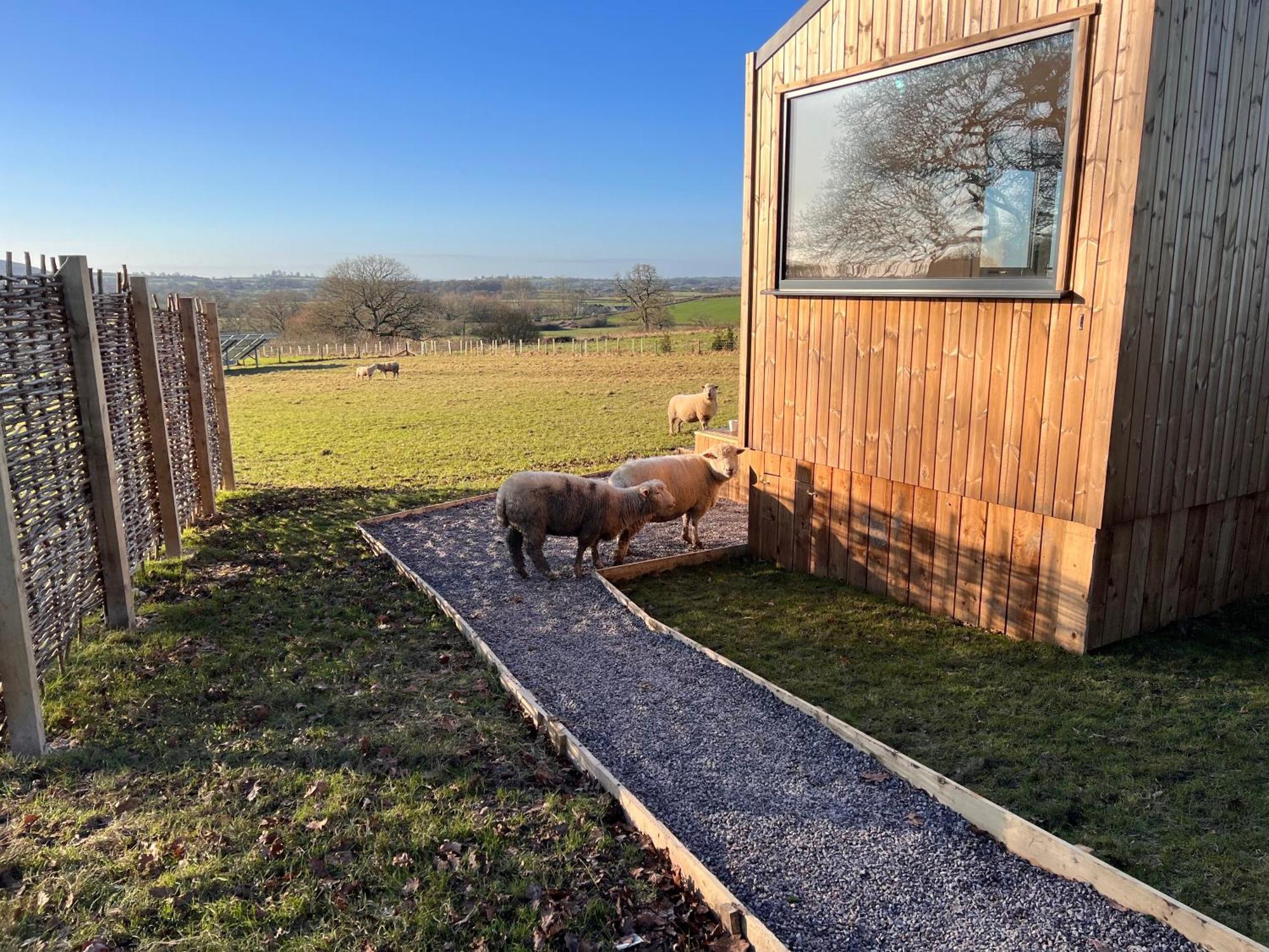 Beautiful In Dorset Countryside Apartment Shaftesbury