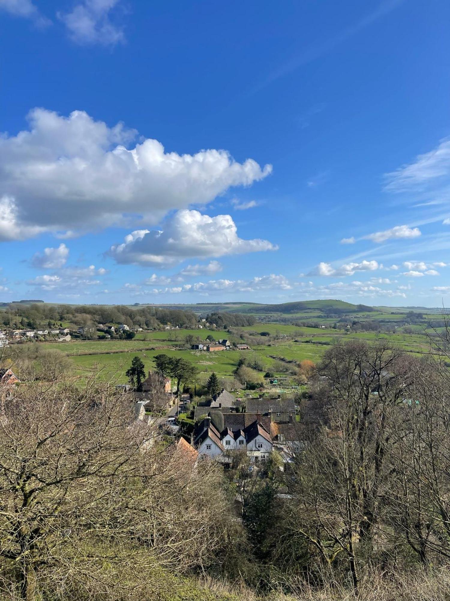 Apartment Beautiful In Dorset Countryside *