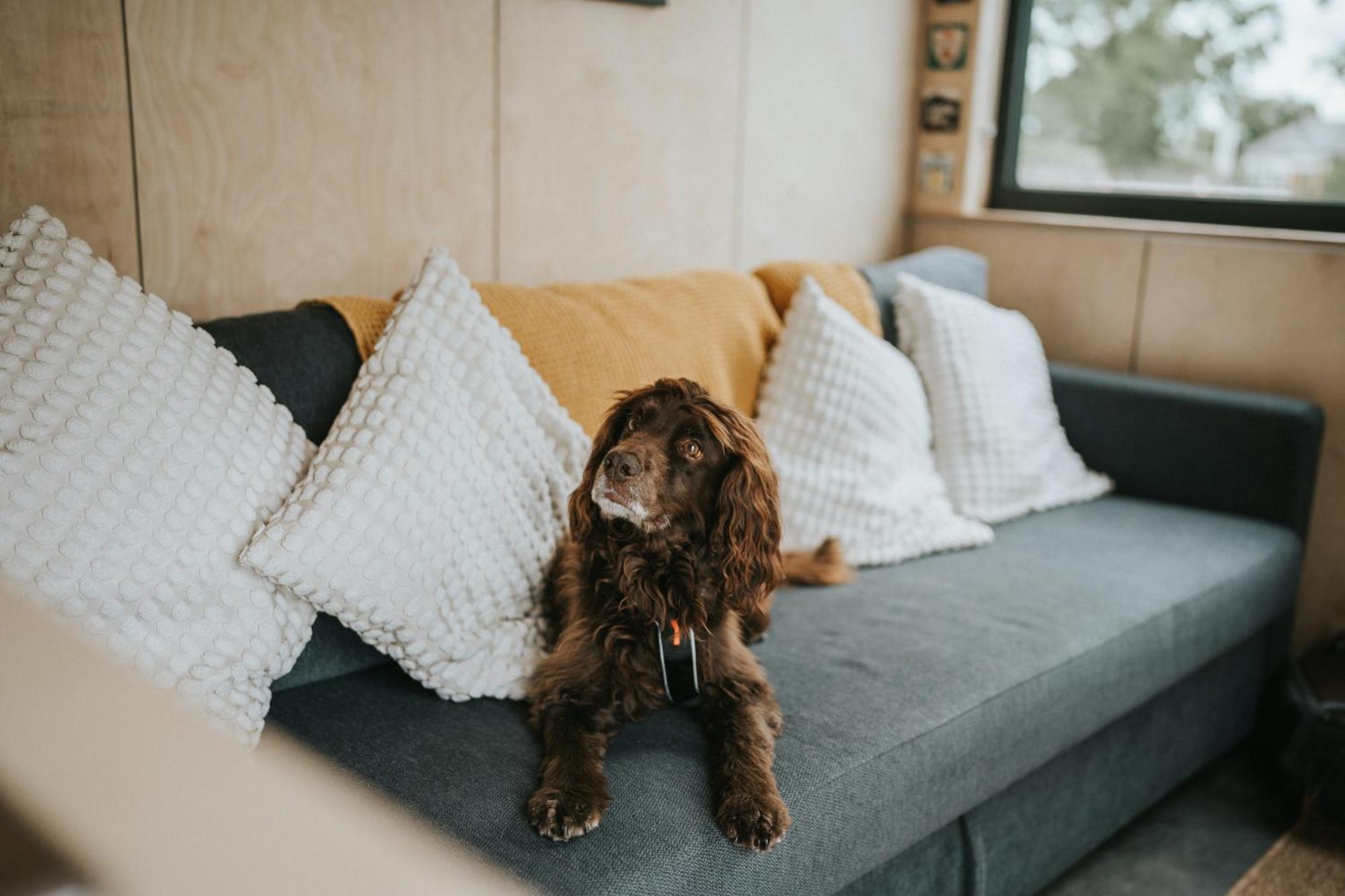 Beautiful In Dorset Countryside Apartment Shaftesbury